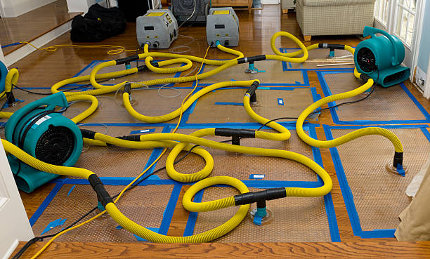 Professional Crawl Space Water Removal technician working in Keene, TX